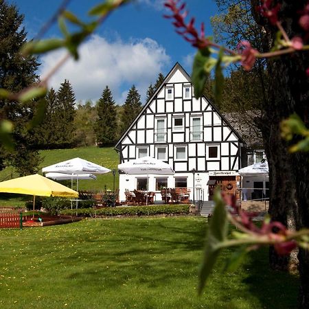 Forellenhof Wald- Und Wiesenquartier Bad Berleburg Bagian luar foto