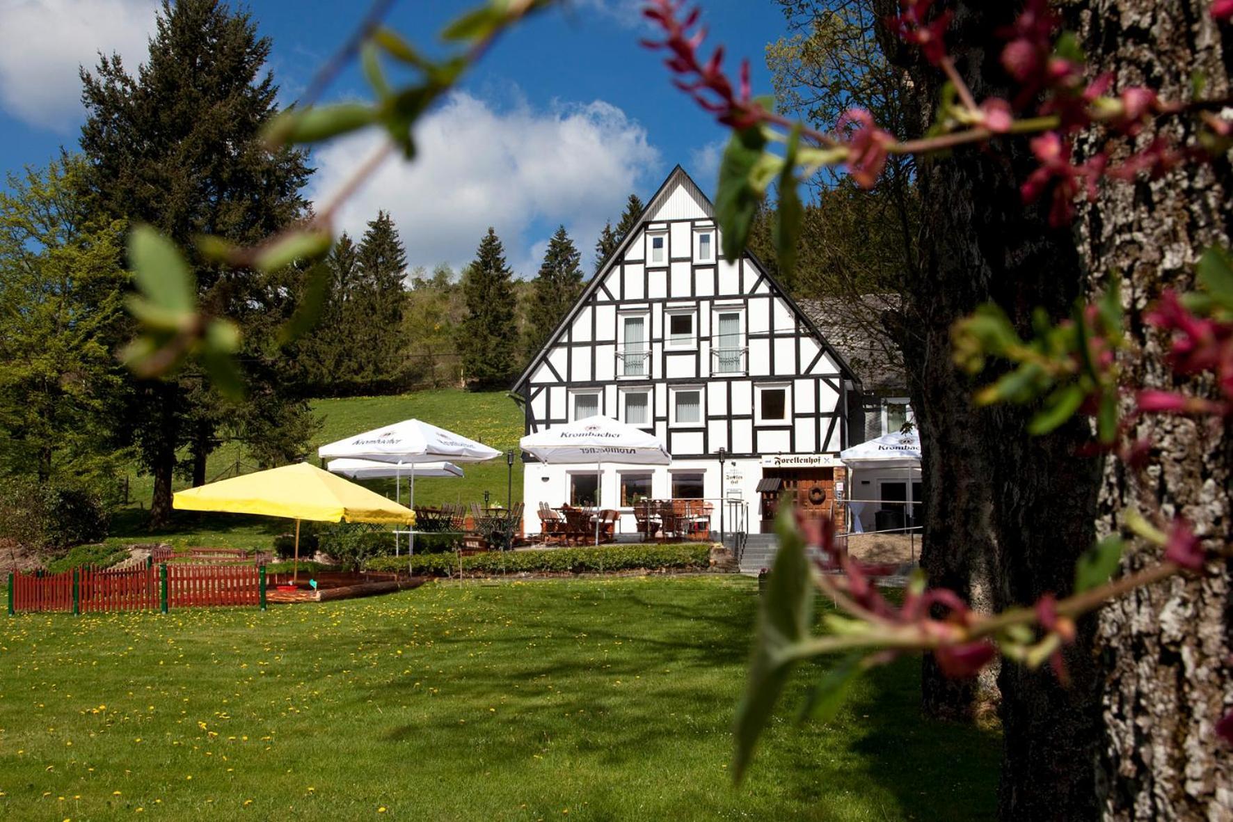 Forellenhof Wald- Und Wiesenquartier Bad Berleburg Bagian luar foto